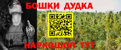 стафф Будённовск